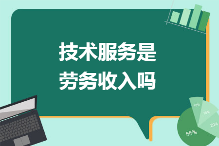 技術(shù)服務(wù)是勞務(wù)收入嗎——以信息技術(shù)咨詢(xún)服務(wù)為例的深度探討